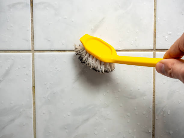 Best Certified Mold Removal  in Port Ludlow, WA
