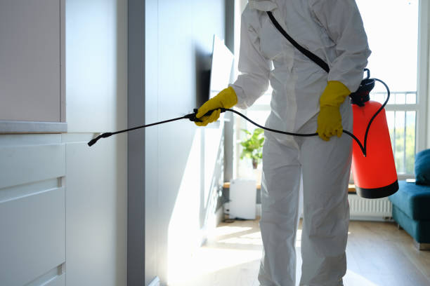 Best Affordable Mold Removal  in Port Ludlow, WA