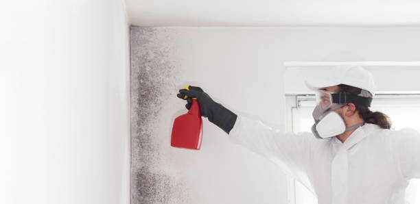 Best Mold Testing  in Port Ludlow, WA
